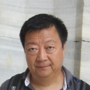 Exploring Artificial General Intelligence with Professor Pei Wang – Owl ...